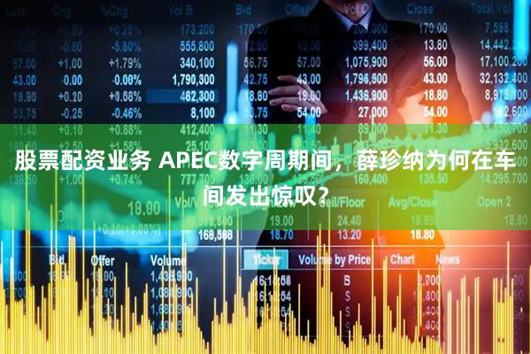 股票配资业务 APEC数字周期间，薛珍纳为何在车间发出惊叹？
